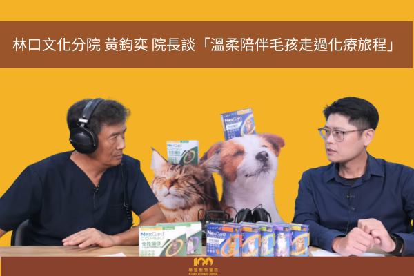 林口分院 黃鈞奕院長談「溫柔陪伴毛孩走過化療旅程」