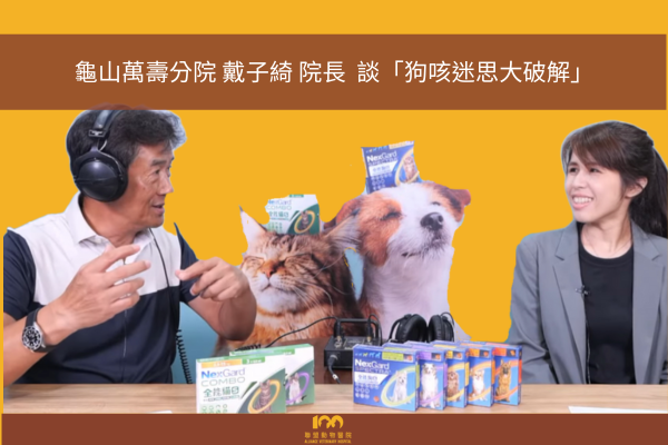 龜山萬壽分院 戴子綺院長談「破解狗狗咳嗽迷思」