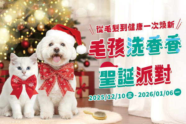 毛孩洗香香聖誕派對
